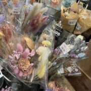 ヒメ日記 2025/07/27 02:52 投稿 ここあ アイムシェイク