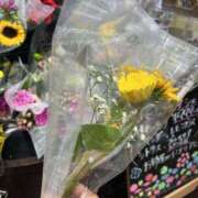 ヒメ日記 2025/07/27 02:59 投稿 ここあ アイムシェイク