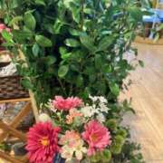 ヒメ日記 2025/07/30 22:56 投稿 ここあ アイムシェイク