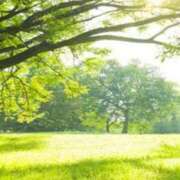 ヒメ日記 2026/03/20 15:33 投稿 ここあ アイムシェイク