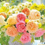 ヒメ日記 2025/08/21 12:33 投稿 りりあ アイムシェイク