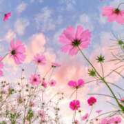 ヒメ日記 2025/12/01 22:35 投稿 りりあ アイムシェイク