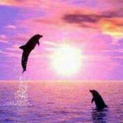 ヒメ日記 2025/12/03 11:10 投稿 りりあ アイムシェイク