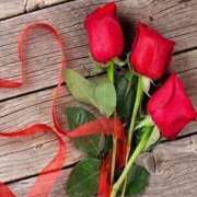 ヒメ日記 2026/02/07 23:33 投稿 りりあ アイムシェイク