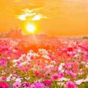 ヒメ日記 2026/02/27 22:53 投稿 りりあ アイムシェイク