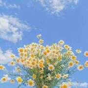 ヒメ日記 2025/09/30 23:05 投稿 せいら アイムシェイク