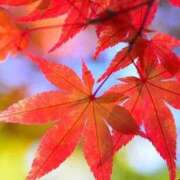 ヒメ日記 2025/10/18 21:35 投稿 せいら アイムシェイク