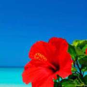 ヒメ日記 2025/11/22 21:50 投稿 せいら アイムシェイク