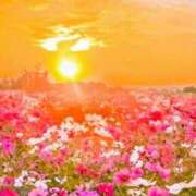 ヒメ日記 2026/04/04 21:03 投稿 せいら アイムシェイク