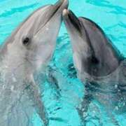 ヒメ日記 2025/08/16 11:10 投稿 ぷらだ アイムシェイク