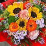 ヒメ日記 2025/08/21 13:13 投稿 ぷらだ アイムシェイク