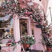 ヒメ日記 2025/10/09 21:35 投稿 ぷらだ アイムシェイク