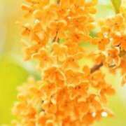 ヒメ日記 2025/10/18 20:51 投稿 ぷらだ アイムシェイク