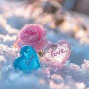 ヒメ日記 2026/02/10 23:53 投稿 ぷらだ アイムシェイク