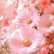 ヒメ日記 2026/03/17 23:53 投稿 ぷらだ アイムシェイク