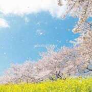 ヒメ日記 2026/04/03 10:23 投稿 ぷらだ アイムシェイク