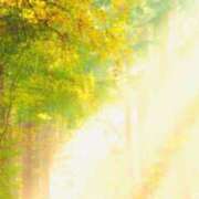 ヒメ日記 2025/10/24 23:10 投稿 あいら アイムシェイク