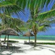 ヒメ日記 2026/02/02 22:53 投稿 あいら アイムシェイク