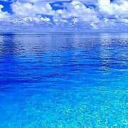 ヒメ日記 2026/02/17 20:53 投稿 あいら アイムシェイク