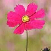 ヒメ日記 2025/09/10 22:10 投稿 じゅり アイムシェイク