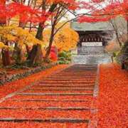 ヒメ日記 2025/09/27 23:20 投稿 じゅり アイムシェイク