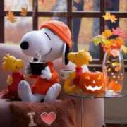 ヒメ日記 2025/11/06 18:50 投稿 じゅり アイムシェイク