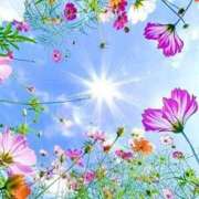 ヒメ日記 2025/08/02 17:50 投稿 りおん アイムシェイク