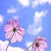 ヒメ日記 2025/09/10 22:35 投稿 りおん アイムシェイク