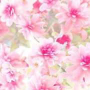 ヒメ日記 2025/10/11 23:10 投稿 すずか アイムシェイク