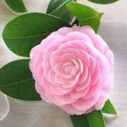 ヒメ日記 2025/07/30 13:10 投稿 あきな アイムシェイク