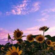 ヒメ日記 2025/08/08 16:21 投稿 あきな アイムシェイク