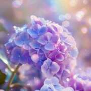 ヒメ日記 2025/12/29 20:50 投稿 あきな アイムシェイク