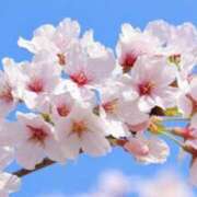 ヒメ日記 2026/03/25 15:33 投稿 あきな アイムシェイク