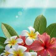 ヒメ日記 2025/08/09 15:30 投稿 なぎさ アイムシェイク