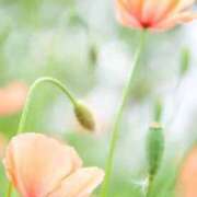 ヒメ日記 2025/10/11 22:10 投稿 なぎさ アイムシェイク