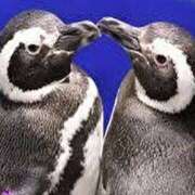 ヒメ日記 2025/09/10 18:35 投稿 りりか アイムシェイク