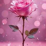 ヒメ日記 2025/12/08 21:35 投稿 りりか アイムシェイク