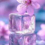 ヒメ日記 2026/02/05 23:33 投稿 りりか アイムシェイク