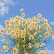 りりか お気軽にお問い合わせください💞 アイムシェイク