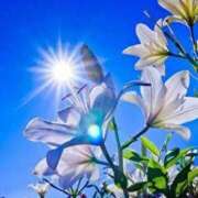 ヒメ日記 2025/08/02 18:10 投稿 まりぃ アイムシェイク