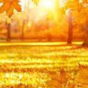 ヒメ日記 2025/09/10 17:50 投稿 まりぃ アイムシェイク