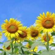 ヒメ日記 2026/03/20 12:03 投稿 まりぃ アイムシェイク