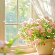 ヒメ日記 2026/06/08 17:53 投稿 まりぃ アイムシェイク