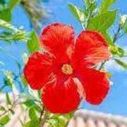 ヒメ日記 2025/08/01 17:10 投稿 みちる アイムシェイク