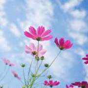 ヒメ日記 2025/09/10 20:50 投稿 みちる アイムシェイク