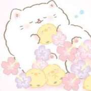 ヒメ日記 2025/10/11 23:35 投稿 みちる アイムシェイク