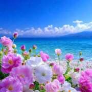 ヒメ日記 2025/12/10 22:10 投稿 みちる アイムシェイク