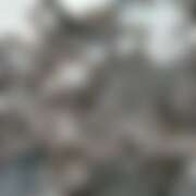 ヒメ日記 2026/03/28 18:23 投稿 篠田 ミセスハンドセラピー