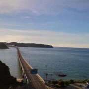 ヒメ日記 2025/09/12 14:35 投稿 くるみさん いけない奥さん 梅田店