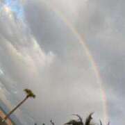 ヒメ日記 2025/12/14 16:33 投稿 ジュリア Club Hearts